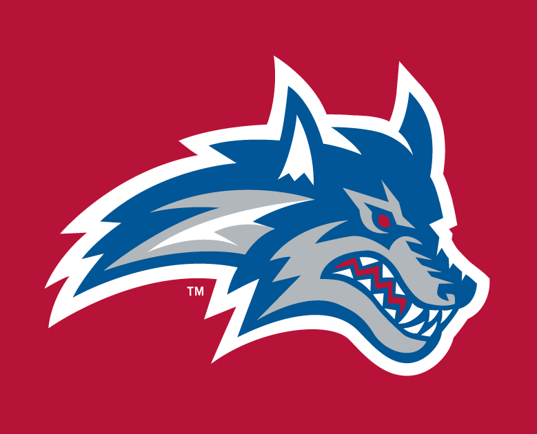 Stony Brook Seawolves 2008-Pres Alternate Logo v2 iron on transfers for fabric